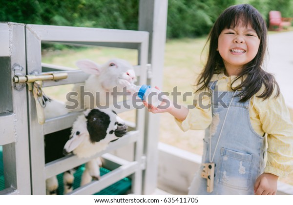 羊の餌を与える 羊の飼育場でかわいい羊にミルクボトルを与えるアジア人の女の子 の写真素材 今すぐ編集