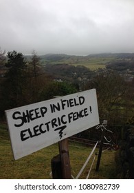 Sheep In Field - Electric Fence
