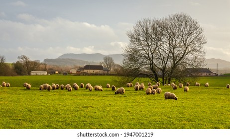 2,360 Scotland lowland Images, Stock Photos & Vectors | Shutterstock