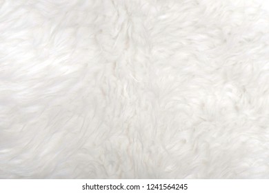 Sheep Hair Wool Background Stock Photo 1241564245 | Shutterstock