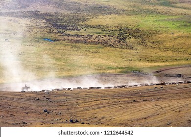 Sheep At Karakul Lake. A Famous Landscape On The Karakoram Highway In Pamir Mountains, Akto County,Kizilsu Kirghiz Autonomous Prefecture, Xinjiang, China.