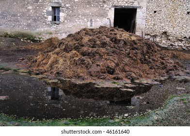 Sheep Manure Heap, Rural Scene