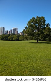 Sheep Meadow, Central Park, New York City