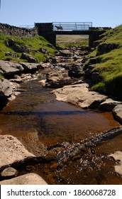 Sheep On Bridge Over Hell Gill Beck, Yorkshire Dales