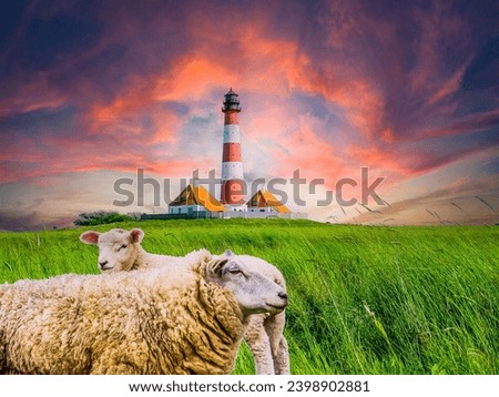 Sheep on the dike in the salt marshes on the North Sea with Westerhever lighthouse
