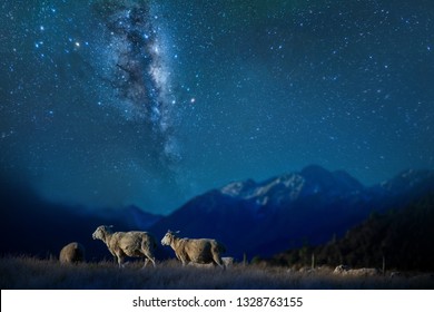 Sheep on the hill on Milky Way Background  in New zealand lacations