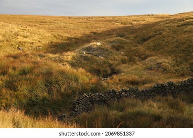 Sheep On The Hills Of West Pennine Moors And Dry Stone Wall