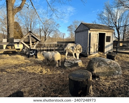 Sheep and other animals in the farm house