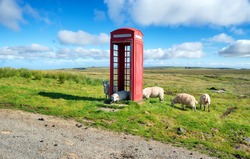 Sheep In A Red Telephone Box On The Isle Of Skye In Scotland