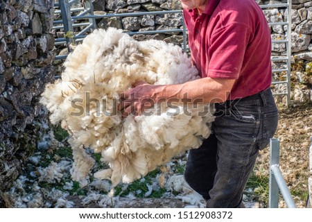 Sheep shearing is the process by which the woollen fleece of a sheep is cut off. The person who removes the sheep's wool is called a shearer.