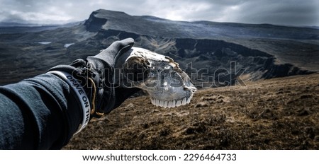 Sheep skull, Trotternish Ridge on the background