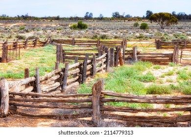 SHeep Yard Of Lake Mungo Woolshed In Dry Arid Plains Of Australian Outback.