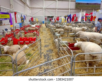 Sydney royal easter show Images, Stock Photos & Vectors | Shutterstock