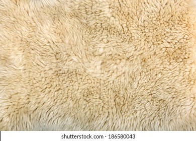 Sheepskin Background