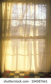 Sheer Curtains Through Paned Window