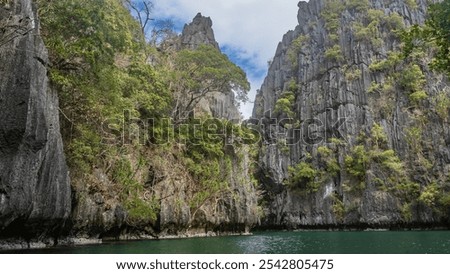 Similar – Image, Stock Photo Miniloc Island with limestone cliffs. Aerial drone panoramic picture. Bacuit Archipelago, El Nido, Palawan, Philippines