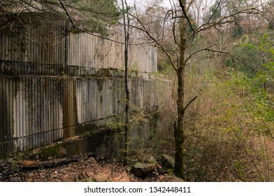 Sheer Rock Wall In The Woods