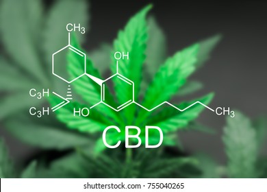 A Sheet Of Cannabis Marijuana In The Defocus With The Image Of The Formula CBD