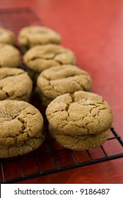 A Sheet Of Cookies (ginger Snaps)