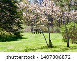 In Sheet Harbour, NS, a small park with picnic table and blooms on trees marks spring has arrived.