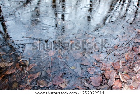 sheet of ice submerged fallen leaves fall leaves on ground puddle autumn leaf foliage reflections winter season