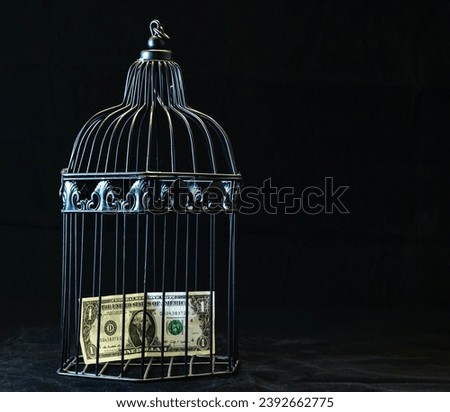 a sheet of money in a birdcage with a black background