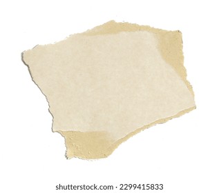 a sheet of paper torn to pieces isolated on white background 