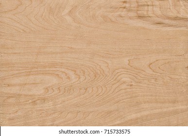 A Sheet Of Plywood Made Of Lime Wood