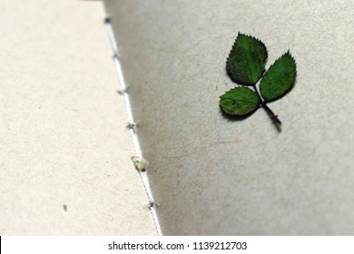 sheet in recycled notepad - Powered by Shutterstock - Get 15% off with code: PIKWIZARD15