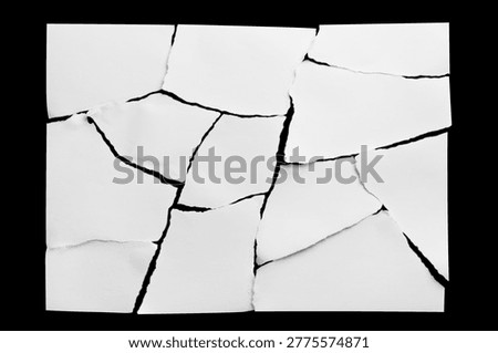 Sheet of white paper torn into many pieces, isolated on black background