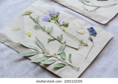 Sheets of paper with dried flowers and leaves on white fabric, closeup - Shutterstock ID 2201122335
