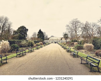 Sheffield Botanical Gardens In Winter