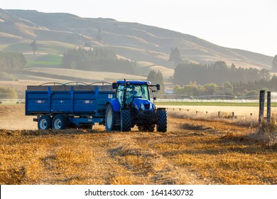 Sheffield, Canterbury, New Zealand, February 10 2020: A Blue New Holland Tractor With A Seed Bin Transports Peas From A Combine Harvester In A Farm Field On A Summer Evening