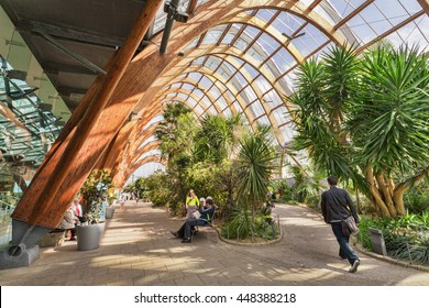 Sheffield, South Yorkshire, England: 11 April 2011 - Sheffield Winter Gardens On A Fine Sunny Spring Day, People Relaxing And Walking Through.