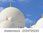 Sheikh Zayed Grand Mosque in Abu Dhabi