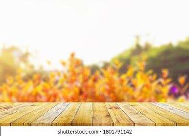 Shelf Of Brown Wood Plank Board With Blurred Orange Nature Background. Old Vintage Style. Autumn Season.