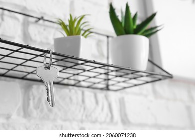 Shelf with key and houseplants hanging on brick wall, closeup