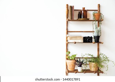 shelf on the wall with plants and books - Shutterstock ID 1440017891