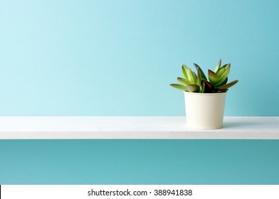 A shelf and a plant - Shutterstock ID 388941838