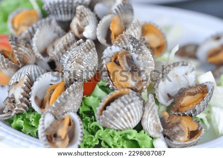 shell or ark shell, cockle or scallop or scald shell or boiled shell