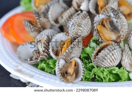 shell or ark shell, cockle or scallop or scald shell or boiled shell