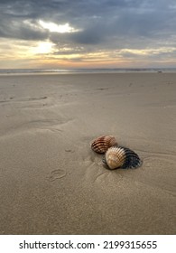 Shell Beach Algarve Sunset Portugal Algarve Nature