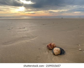 Shell Beach Algarve Sunset Portugal Algarve Nature