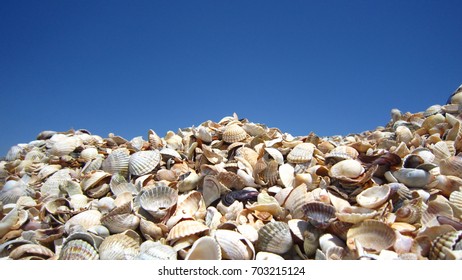 Shell beach and blue sky