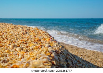 Shell Beach By The Caspian Sea In Dagestan Republic, Russia