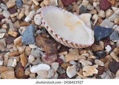 Shell Beach sand stones colourful pebbles