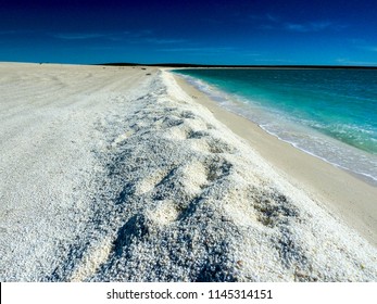 5,974 Shell beach australia Images, Stock Photos & Vectors | Shutterstock