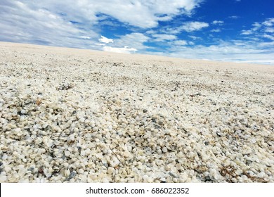 Shell Beach Western Australia