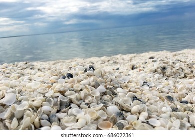 Shell Beach Western Australia