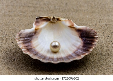 164,482 Pearl nature Images, Stock Photos & Vectors | Shutterstock